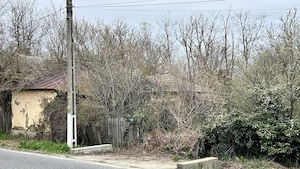  TEREN pentru loc de casa   Socetu Com. Stejaru Jud.Teleorman - imagine 4