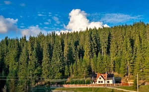 Vând casă in Poiana Horea ,Beliș,județul Cluj