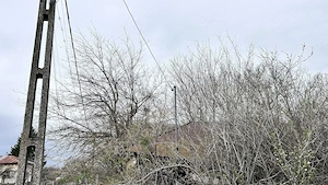  TEREN pentru loc de casa   Socetu Com. Stejaru Jud.Teleorman - imagine 6