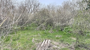  TEREN pentru loc de casa   Socetu Com. Stejaru Jud.Teleorman - imagine 8