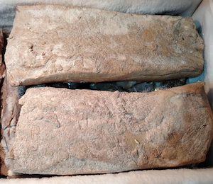 Vând slănină afumată și neafumată 