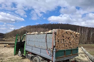 vând lemne de foc esență tare cer,fag,carpen,stejar cantitate garantata  transport gratuit  lemnele 