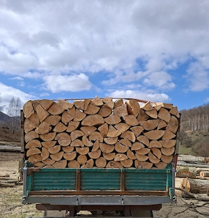 vând lemne de foc esență tare cer,fag,carpen,stejar cantitate garantata  transport gratuit  lemnele 
