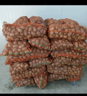 Vand Cartofi de cosum 1,50 Cartofi de Sămânță 1,20 