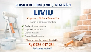 Lucrari de Curatenie 