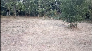 Vand teren intravilan-Polovragi