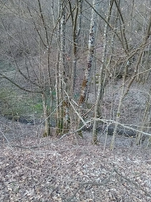 Teren cu acte la zi în mijlocul naturii 