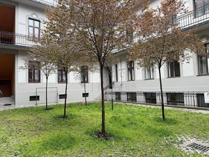 Palatul Rimanoczy Spatiu premium Ultracentral | pietonala Republicii - imagine 13