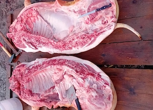 Carcasa porc bio