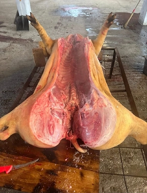 Carcasa porc bio - imagine 2