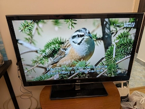 Televizor LED 3D LG, 106cm, FullHD, 42LW4500