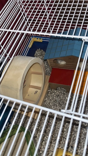 Razatoare  - imagine 3