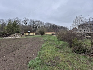 Terenuri Gulia - Padurea cu Tei - Restaurant Moara Vlasiei - Tartasesti - Chitila - imagine 8