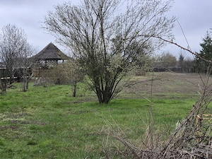 Terenuri Gulia - Padurea cu Tei - Restaurant Moara Vlasiei - Tartasesti - Chitila - imagine 7