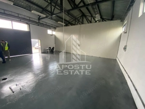 Hala de inchiriat Timisoara - Dambovita, depozitare, service auto - imagine 7