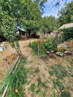 Vând teren intravilan 700m2 cu o casă batraneasca pe teren in comuna isvoarele județul Giurgiu  - imagine 6