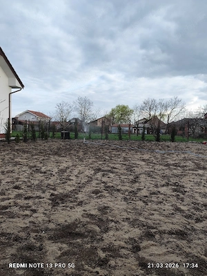 intretinere curti semanat gazon tuns iarba 