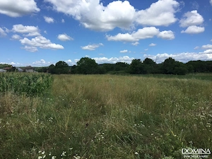 Teren extravilan Remetea mica