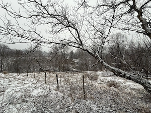 Particular vând teren intravilan construibil 1360 mp. în Breaza   Valea Târsei   14euro mp - imagine 3