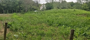 Particular vând teren intravilan construibil 1360 mp. în Breaza   Valea Târsei   14euro mp - imagine 8