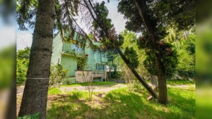 Teren generos și casă deosebită lângă Parcul Central - imagine 3