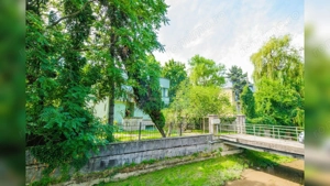 Teren generos și casă deosebită lângă Parcul Central - imagine 13