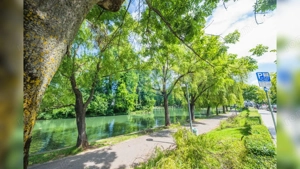 Teren generos și casă deosebită lângă Parcul Central - imagine 15