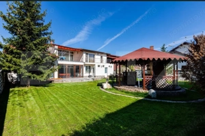 Vilă luxoasă pentru multiple activități, Zona Dumbravita