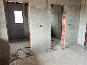 Casă 250 mp + teren 950 mp pe colț   Peciu Nou - imagine 6