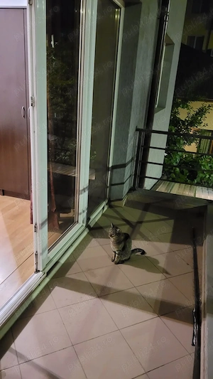 aparatorii patriei spiru haret bloc nou etaj 1 - imagine 7