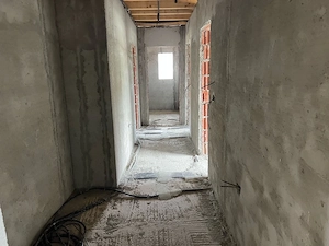 Casă 250 mp + teren 950 mp pe colț   Peciu Nou - imagine 9