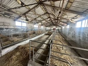 Parc industrial Bârsãu (HALE-BIROURI-APARTAMENT DE LOCUIT-CURTE GENEROASA-TEREN) - imagine 11