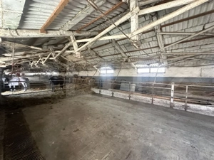 Parc industrial Bârsãu (HALE-BIROURI-APARTAMENT DE LOCUIT-CURTE GENEROASA-TEREN) - imagine 13