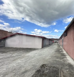 Parc industrial Bârsãu (HALE-BIROURI-APARTAMENT DE LOCUIT-CURTE GENEROASA-TEREN) - imagine 8