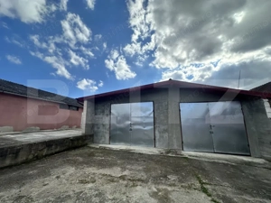 Parc industrial Bârsãu (HALE-BIROURI-APARTAMENT DE LOCUIT-CURTE GENEROASA-TEREN) - imagine 9