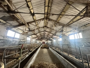 Parc industrial Bârsãu (HALE-BIROURI-APARTAMENT DE LOCUIT-CURTE GENEROASA-TEREN) - imagine 10