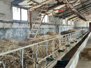 Parc industrial Bârsãu (HALE-BIROURI-APARTAMENT DE LOCUIT-CURTE GENEROASA-TEREN) - imagine 12