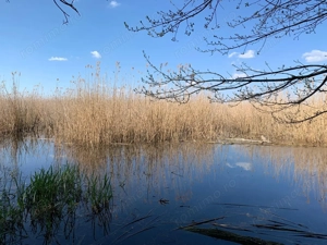 Teren 2000 mp de vânzare – Comana, deschidere la lac, aproape de Parcu