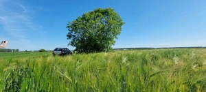 Ferma de Cultura Mare 1100 HA - imagine 9