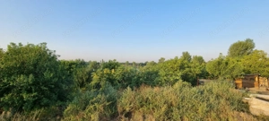 Teren cu Vedre Lac - imagine 5