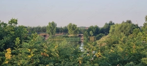 Teren cu Vedre Lac - imagine 3