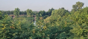 Teren cu Vedre Lac - imagine 2