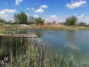 Teren cu Vedre Lac - imagine 4