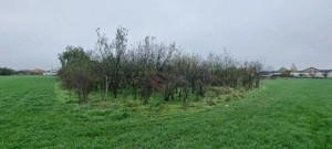 lot Individual - Casa Vila - imagine 4