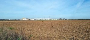 „Corbeanca – aer curat, potențial mare, preț competitiv. 4 loturi - imagine 3