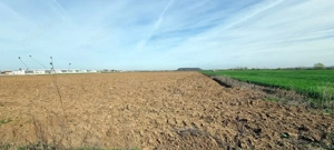 „Corbeanca – aer curat, potențial mare, preț competitiv. 4 loturi - imagine 5