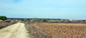 „Corbeanca – aer curat, potențial mare, preț competitiv. 4 loturi - imagine 2