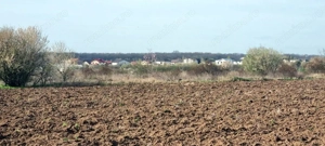 „Corbeanca – aer curat, potențial mare, preț competitiv. 4 loturi - imagine 4