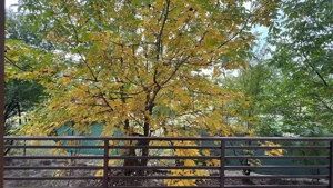 3 camere cu grădină proprie 128 mp - imagine 2