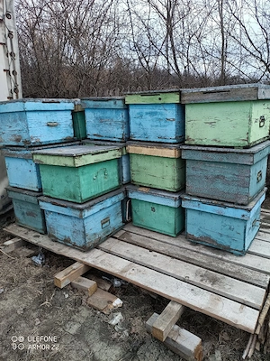 stupi albine 12 rame ieftin 